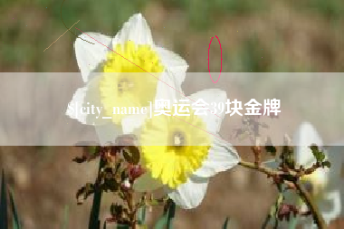 东营奥运会39块金牌
