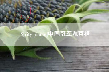 东营中国冠军九宫格