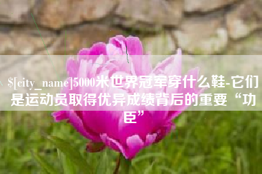 东营5000米世界冠军穿什么鞋-它们是运动员取得优异成绩背后的重要“功臣”
