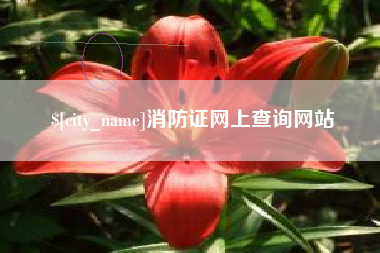 东营消防证网上查询网站