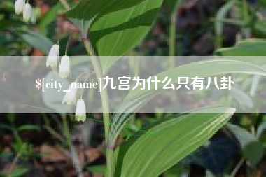 东营九宫为什么只有八卦