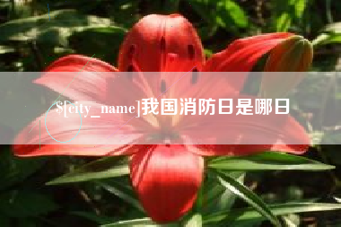 东营我国消防日是哪日