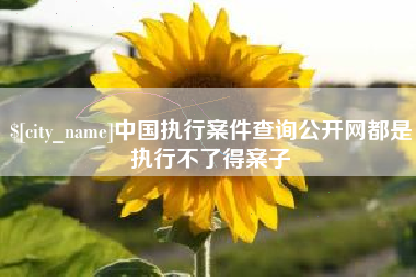 东营中国执行案件查询公开网都是执行不了得案子
