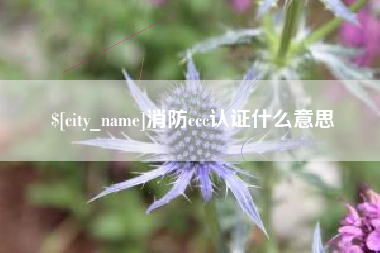 东营消防ccc认证什么意思
