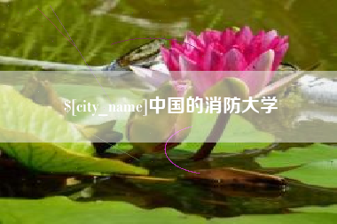 东营中国的消防大学