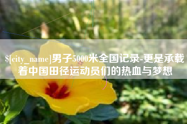 东营男子5000米全国记录-更是承载着中国田径运动员们的热血与梦想
