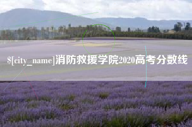 东营消防救援学院2020高考分数线