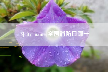 东营全国消防日哪一