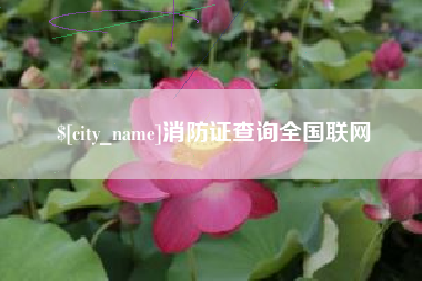 东营消防证查询全国联网