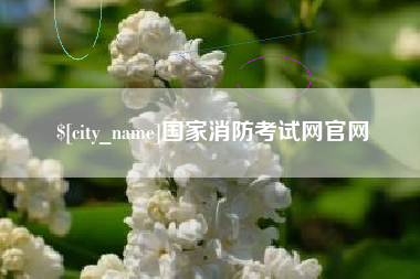 东营国家消防考试网官网