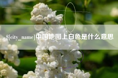 东营中国地图上白色是什么意思