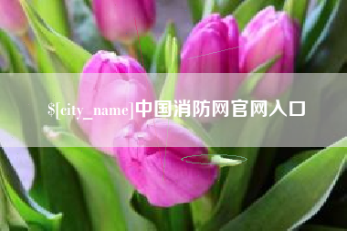 东营中国消防网官网入口