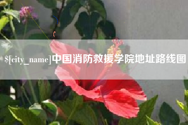 东营中国消防救援学院地址路线图