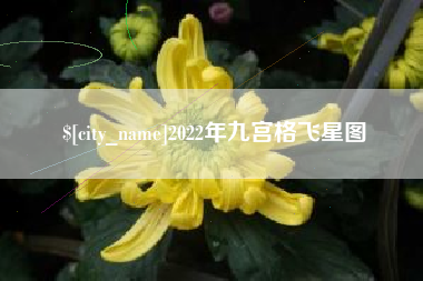 东营2022年九宫格飞星图