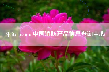 东营中国消防产品信息查询中心