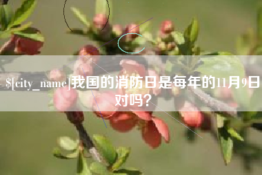东营我国的消防日是每年的11月9日对吗？
