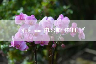 东营九宫如何排日