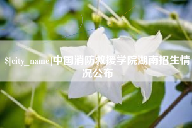 东营中国消防救援学院湖南招生情况公布