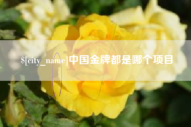 东营中国金牌都是哪个项目