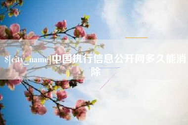 东营中国执行信息公开网多久能消除