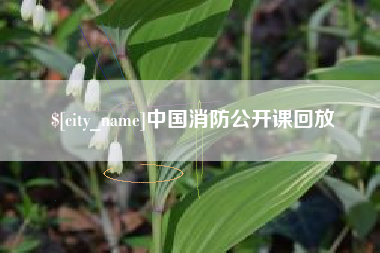 东营中国消防公开课回放