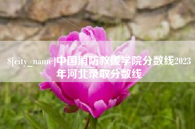 东营中国消防救援学院分数线2023年河北录取分数线