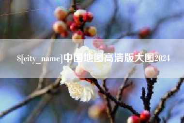 东营中国地图高清版大图2024