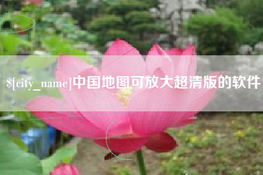 东营中国地图可放大超清版的软件