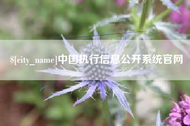 东营中国执行信息公开系统官网