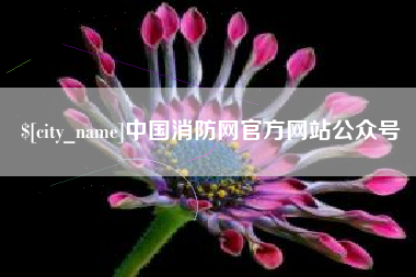 东营中国消防网官方网站公众号