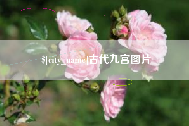 东营古代九宫图片