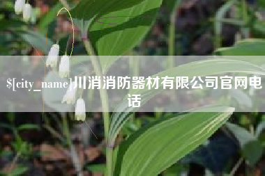 东营川消消防器材有限公司官网电话