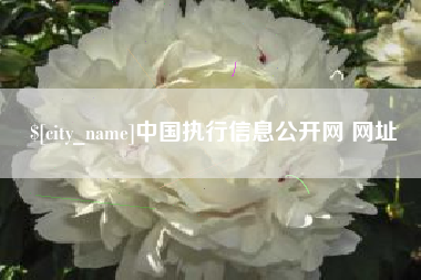 东营中国执行信息公开网 网址