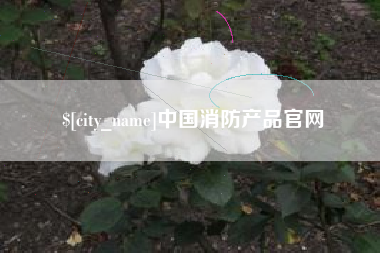 东营中国消防产品官网