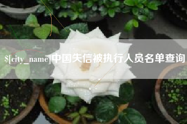 东营中国失信被执行人员名单查询