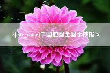 东营中国地图全图手抄报75