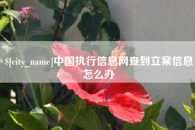 东营中国执行信息网查到立案信息怎么办