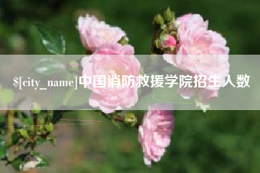 东营中国消防救援学院招生人数