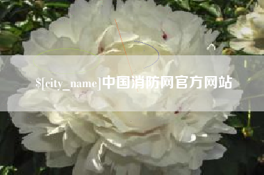 东营中国消防网官方网站