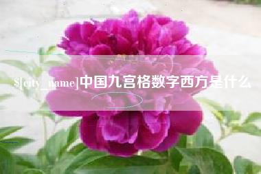 东营中国九宫格数字西方是什么