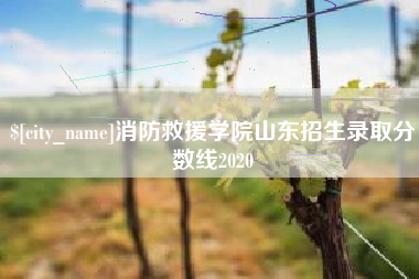 东营消防救援学院山东招生录取分数线2020