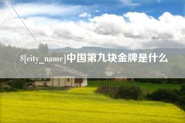 东营中国第九块金牌是什么