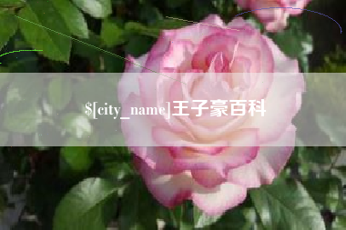 东营王子豪百科