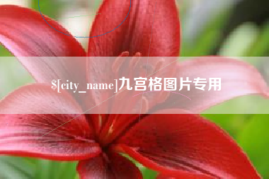 东营九宫格图片专用