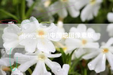 东营中国地图像素版