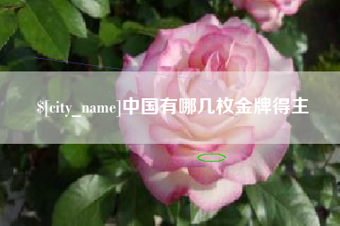 东营中国有哪几枚金牌得主