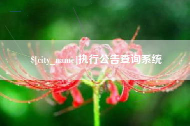 东营执行公告查询系统
