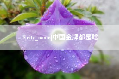 东营中国金牌都是啥