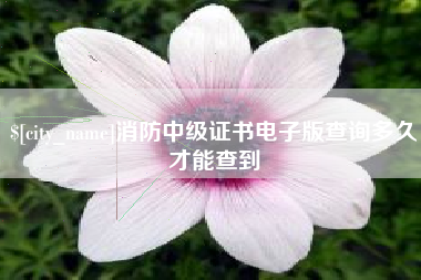 东营消防中级证书电子版查询多久才能查到
