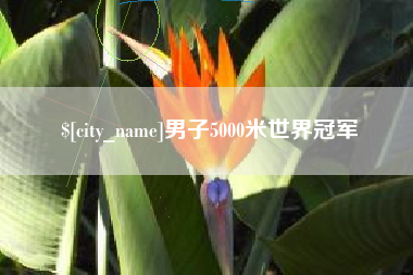 东营男子5000米世界冠军
